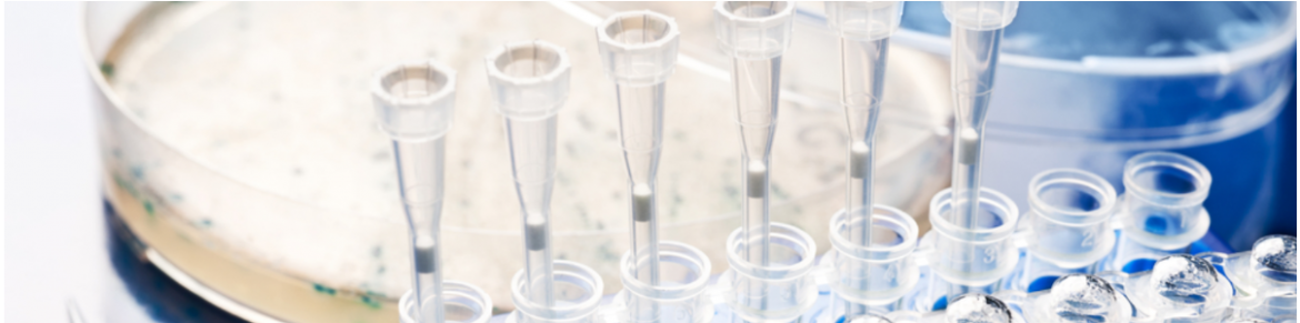 Pharma e Biotech